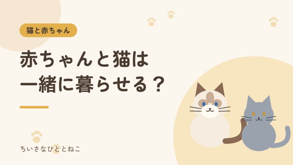 赤ちゃんと猫は一緒に暮らせる？先住猫がいる我が家の対策と注意点