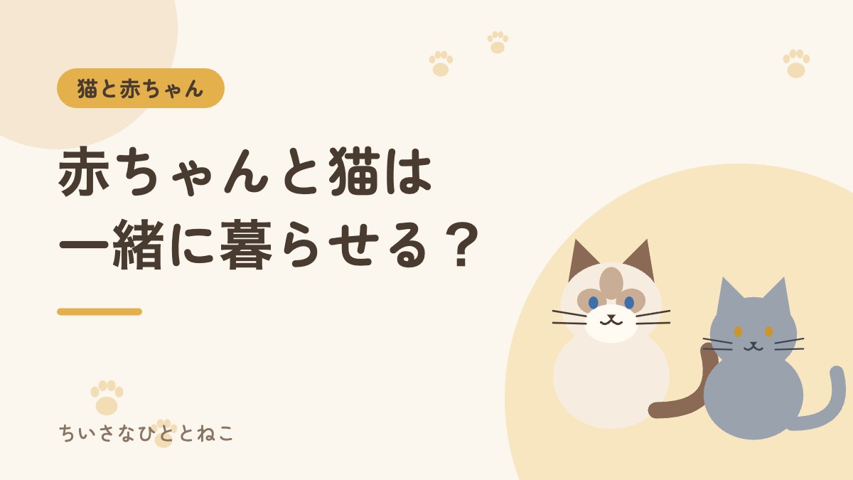 赤ちゃんと猫は一緒に暮らせる？先住猫がいる我が家の対策と注意点