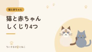 猫と赤ちゃんの暮らしで失敗したこと｜我が家のしくじり4つと対策