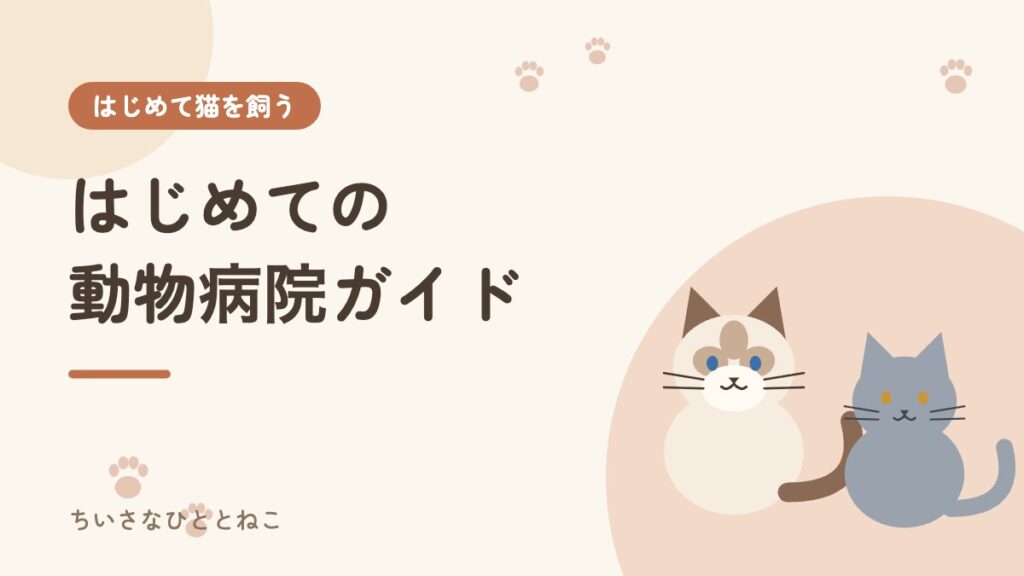 初めての動物病院｜持ち物・聞かれること・費用の目安とワクチンの基本