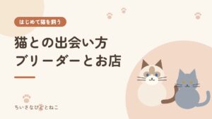 猫との出会い方～下僕への第一歩～