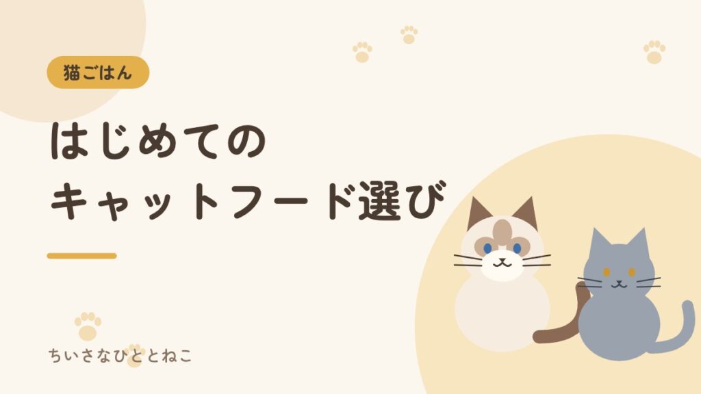 初めてのキャットフードの選び方｜総合栄養食の見分け方と安全チェック