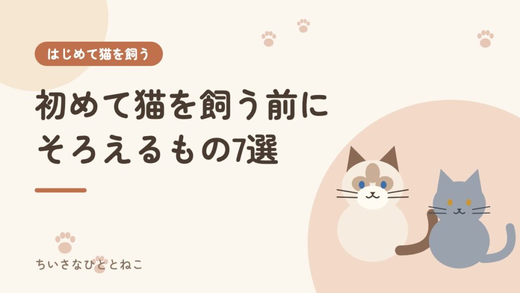 【初心者向け】初めて猫を飼う前に必要な準備リスト7選