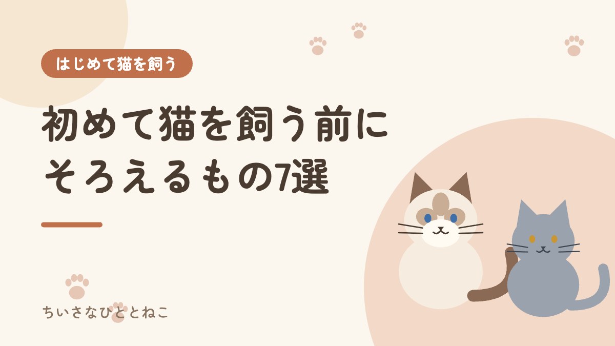 【初心者向け】初めて猫を飼う前に必要な準備リスト7選