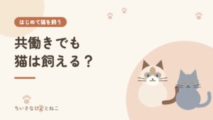 共働きでも猫は飼える？留守番対策と我が家の帰宅後ルーティン