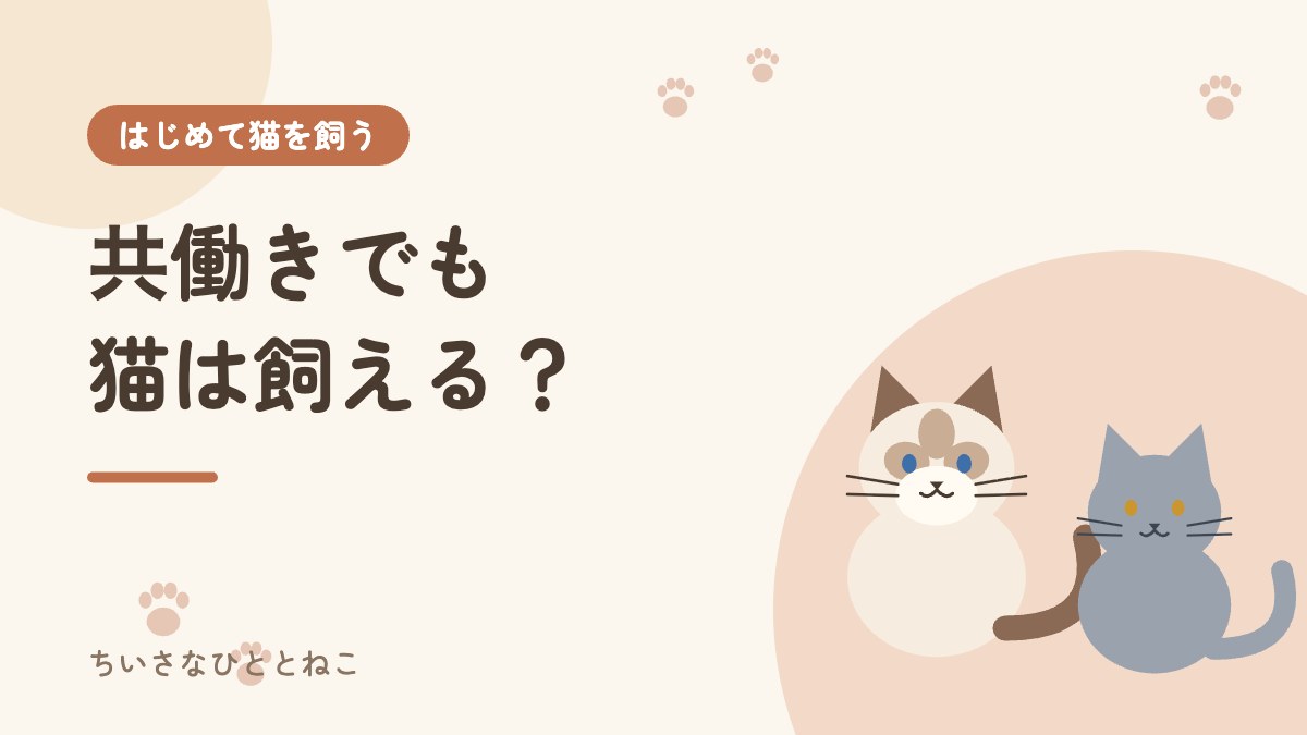 共働きでも猫は飼える?留守番対策と我が家の帰宅後ルーティン