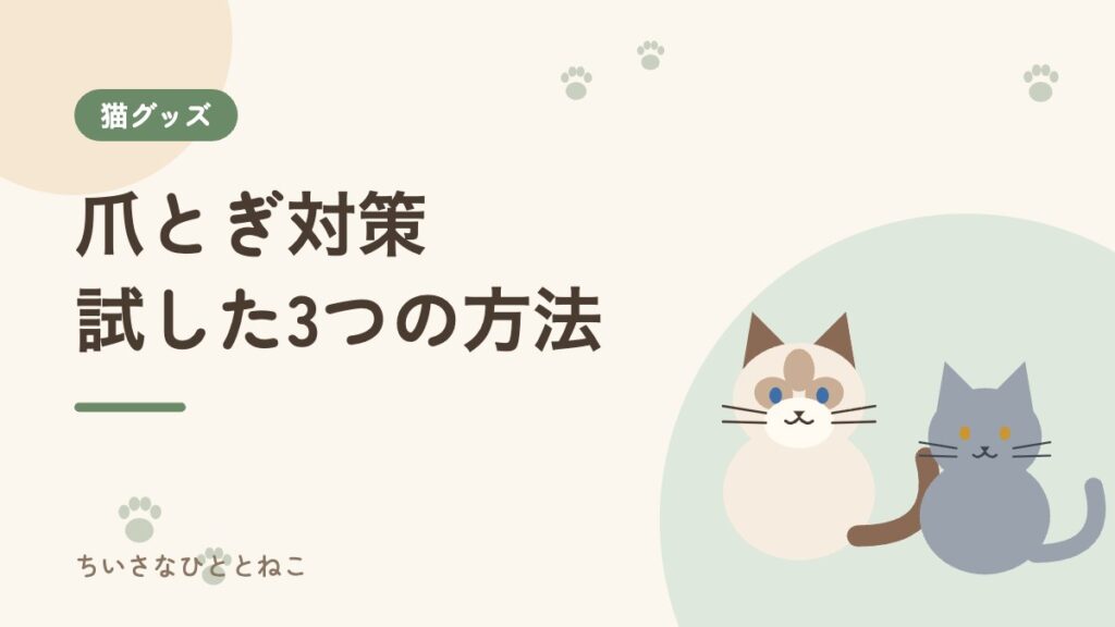 猫の爪とぎ対策｜賃貸の壁を守るために試した3つの方法と結果